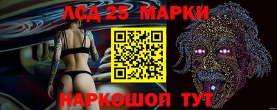 СК Обь