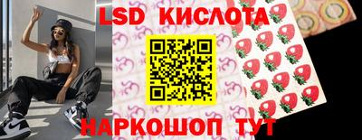 СК Обь